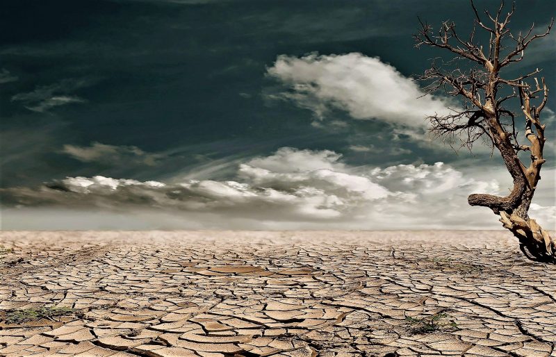 desertificacion.jpg