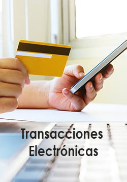 TransaccionesElectronicas.jpg		