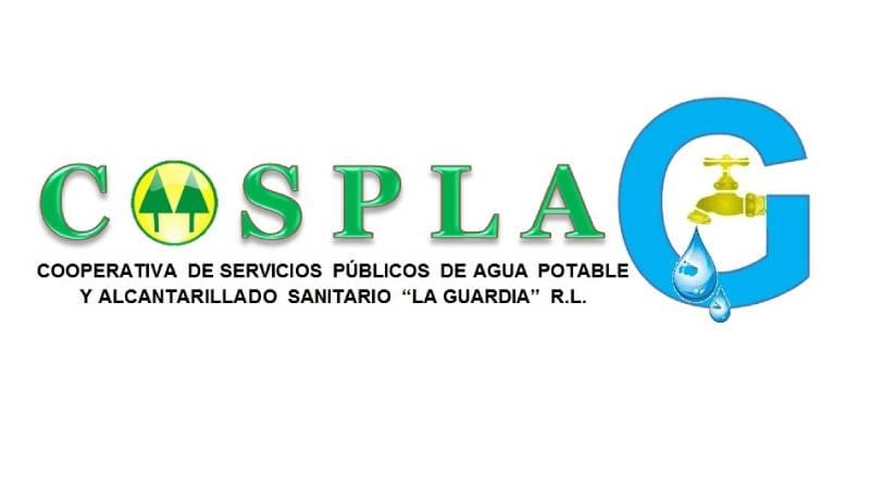 Analisis general-COSPLAG R.L.