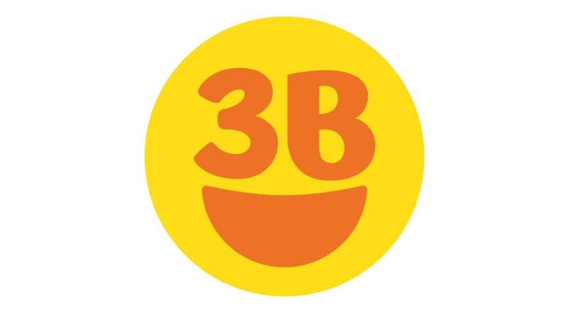 3B