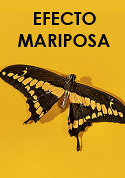 mariposa.jpg