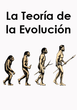 teoriaevolucion.jpg