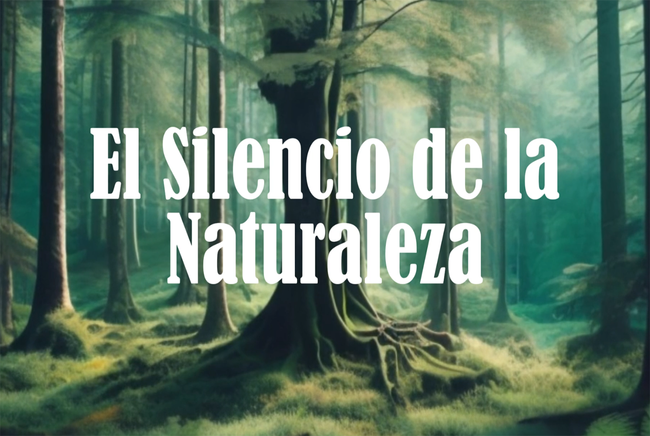 El Silencio de la Naturaleza
