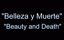 Belleza y Muerte - Beauty and Death